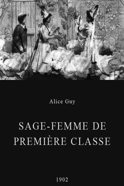 Póster de Midwife to the Upper Classes