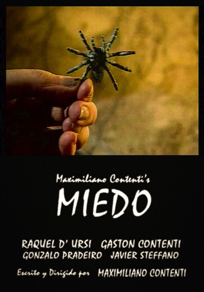 Póster de Miedo