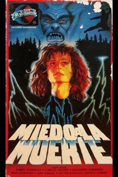 Póster de Miedo a la muerte