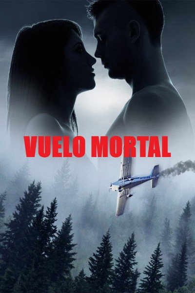 Póster de Miedo a volar