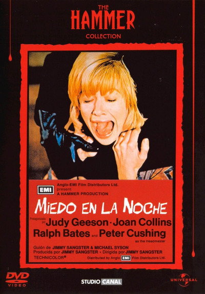 Póster de Miedo en la noche