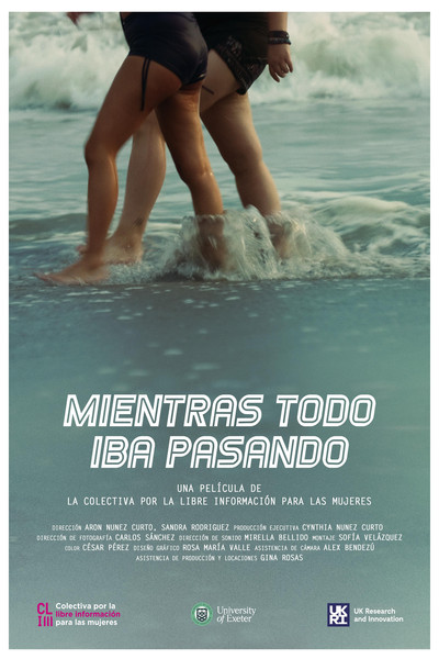 Póster de Mientras todo iba pasando