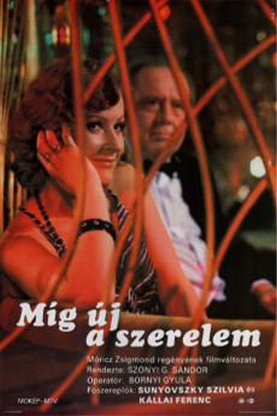 Póster de Míg új a szerelem