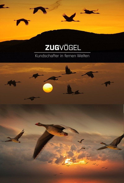 Póster de Migrating Birds - Scouts of Distant Worlds