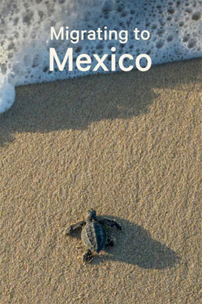 Póster de Migrating to Mexico