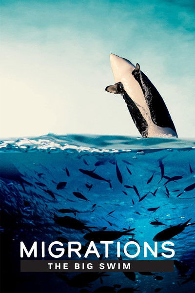 Póster de Migrations: The Big Swim