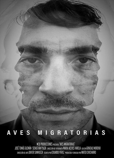 Póster de Migratory Birds