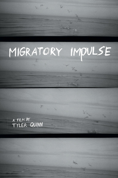 Póster de Migratory Impulse