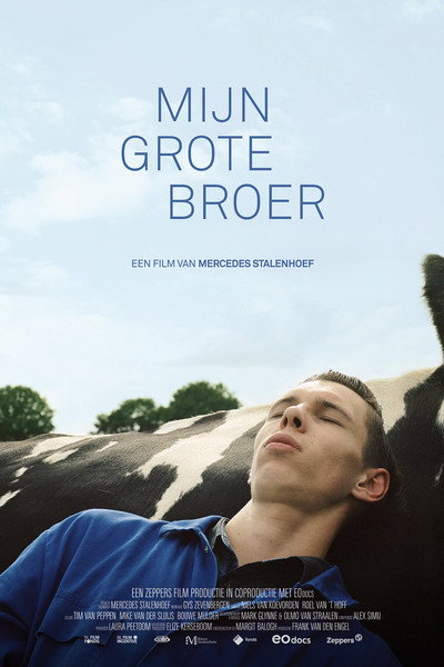 Póster de Mijn grote broer
