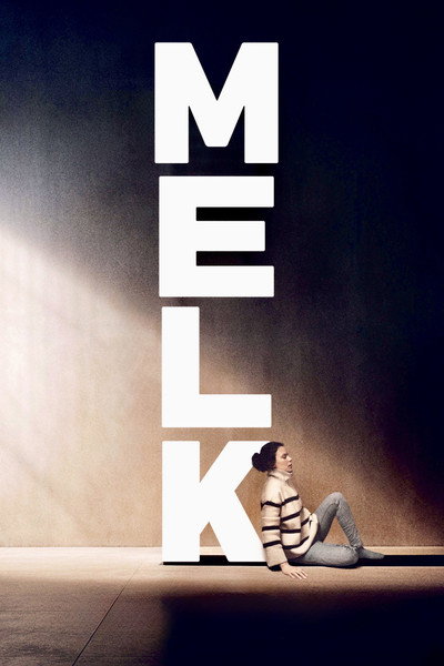 Póster de Milk