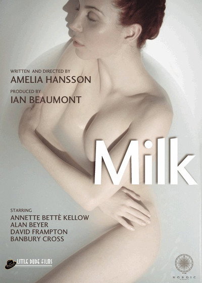 Póster de Milk