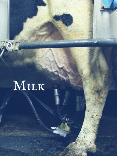 Póster de Milk