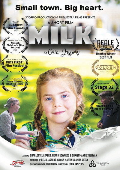 Póster de Milk