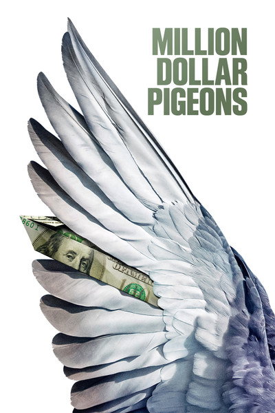 Póster de Million Dollar Pigeons