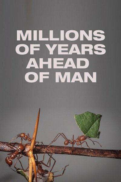 Póster de Millions of Years Ahead of Man
