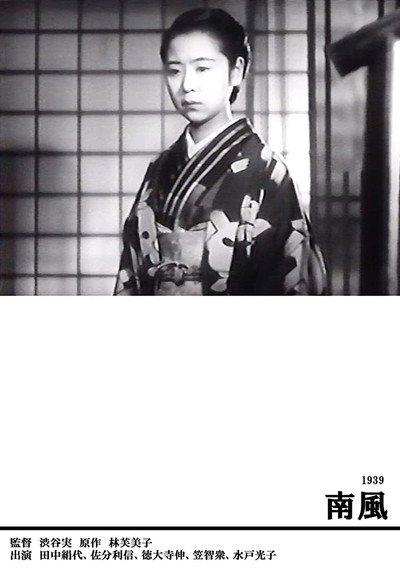 Póster de Minamikaze