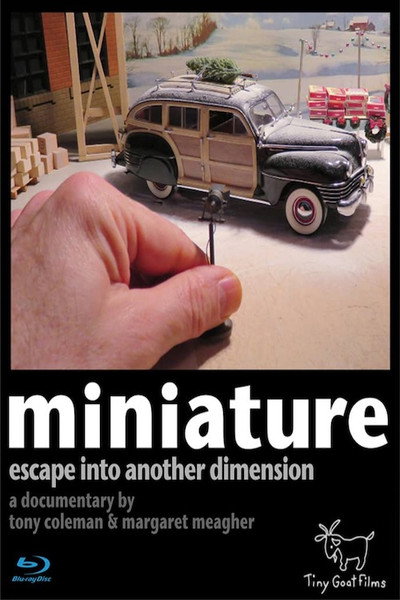 Póster de Miniature