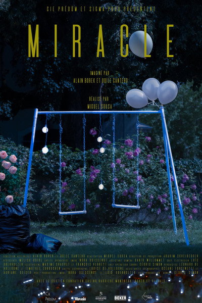 Póster de Miracle