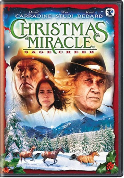 Póster de Miracle at Sage Creek
