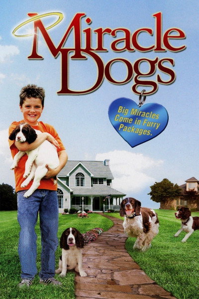 Póster de Miracle Dogs