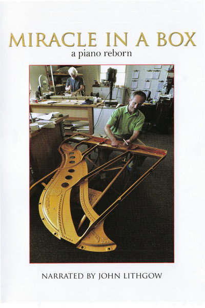 Póster de Miracle in a Box: A Piano Reborn