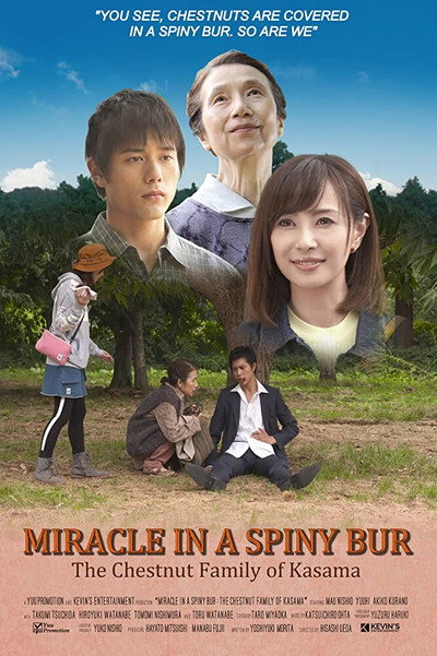 Póster de Miracle in Kasama