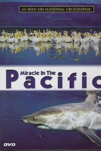 Póster de Miracle in the Pacific