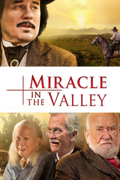 Póster de Miracle in the Valley