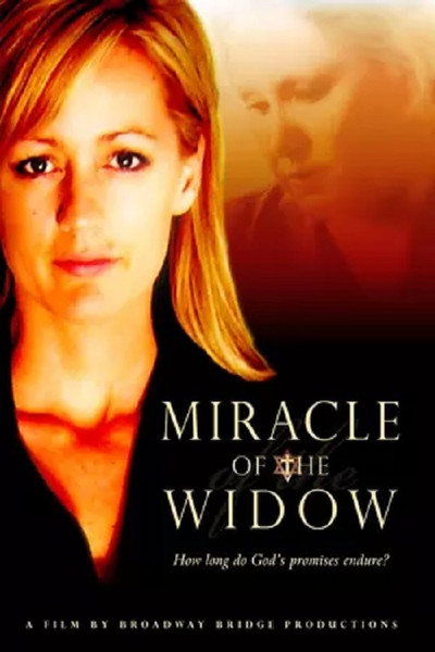 Póster de Miracle of the Widow
