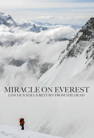 Póster de Miracle on Everest