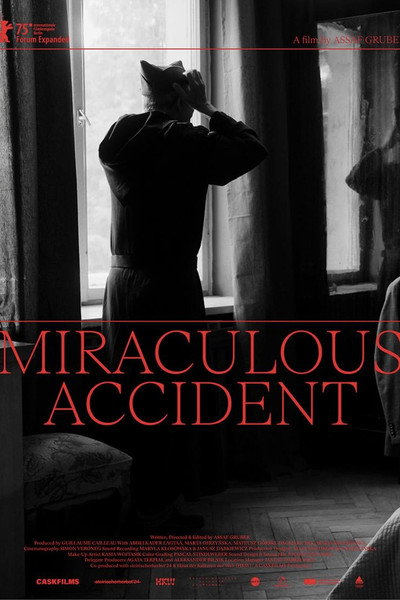 Póster de Miraculous Accident
