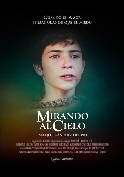 Póster de Mirando al cielo