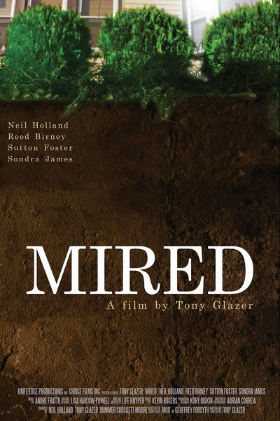 Póster de Mired