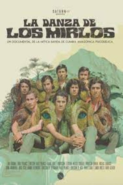 Póster de Mirlo's Dance