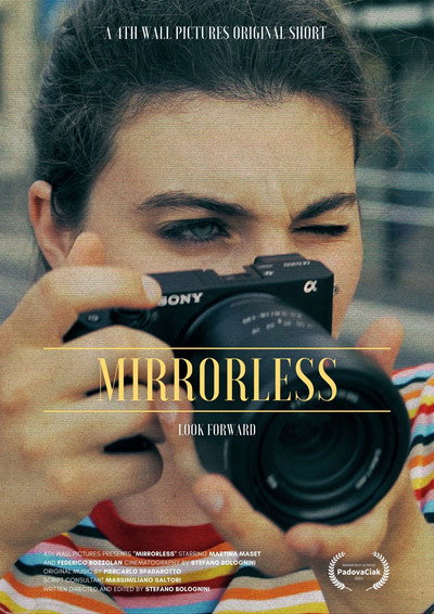 Póster de Mirrors Flickering