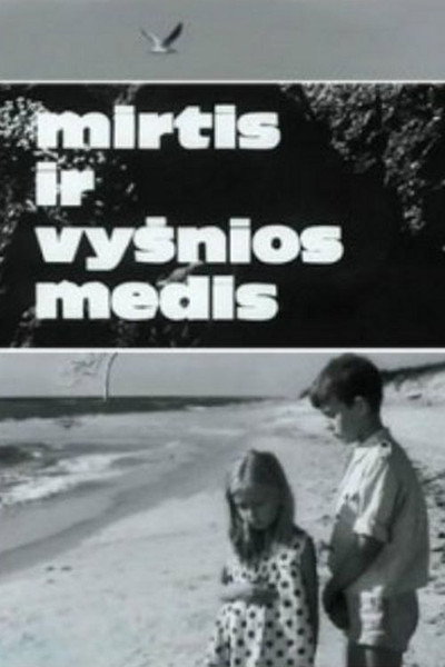 Póster de Mirtis ir vysnios medis