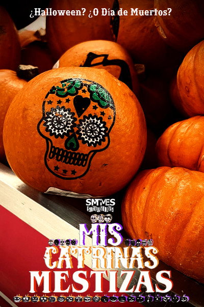 Póster de Mis Catrinas Mestizas