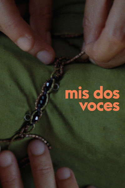 Póster de Mis dos voces