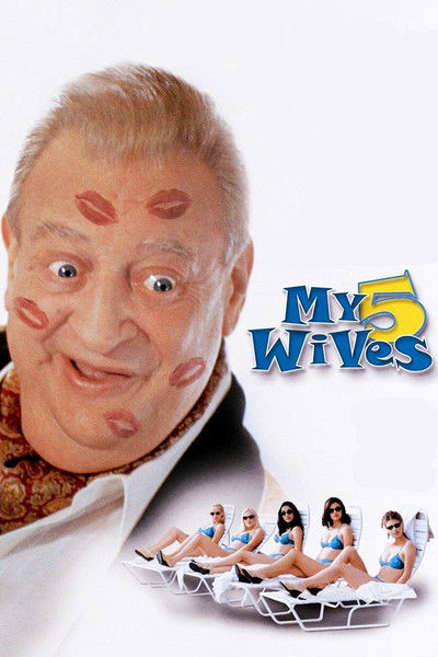Póster de Mis mujeres y yo