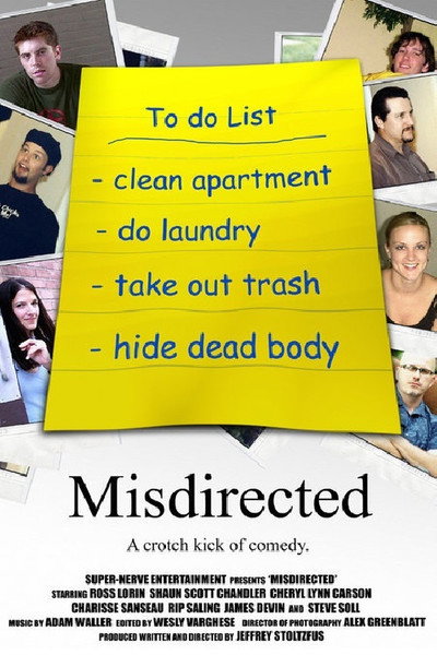 Póster de Misdirected
