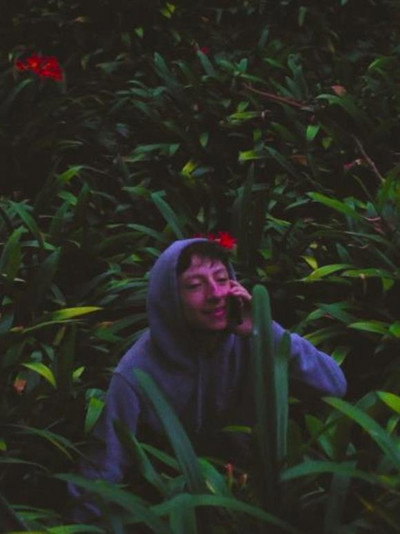 Póster de Misery Loves Company