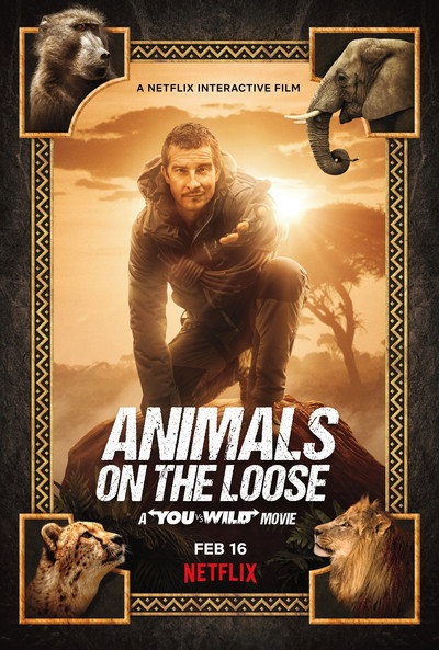 Póster de Misión Safari: Sobrevivir es el reto, la película