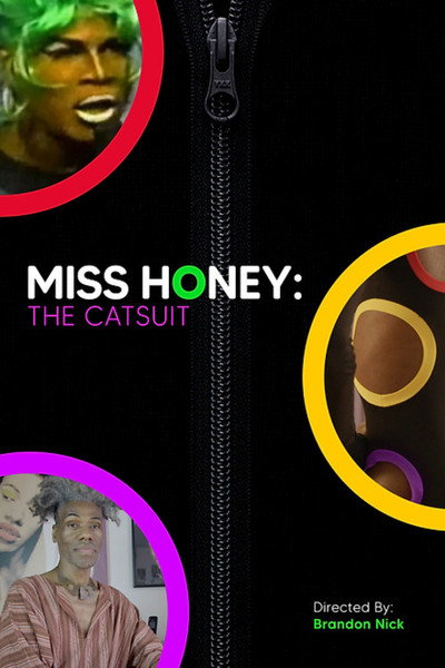 Póster de Miss Honey: the Catsuit