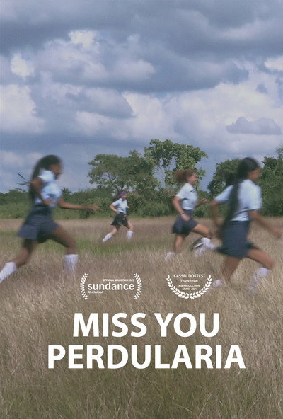 Póster de Miss You Perdularia