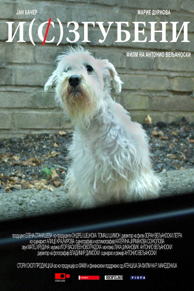 Póster de Mi(s)sing dog