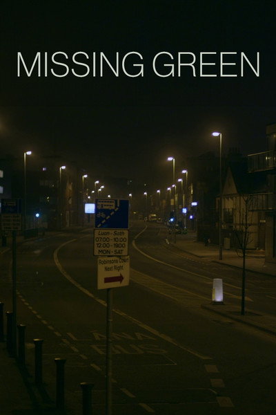 Póster de Missing Green