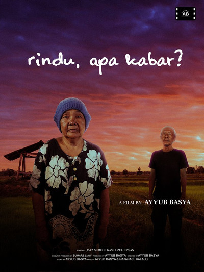 Póster de Missing, How Are You?