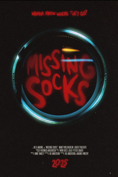 Póster de Missing Socks