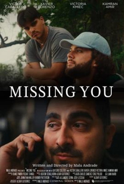 Póster de Missing You