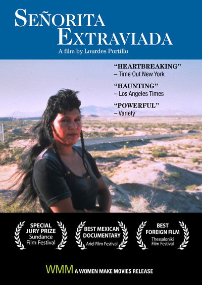 Póster de Missing Young Woman